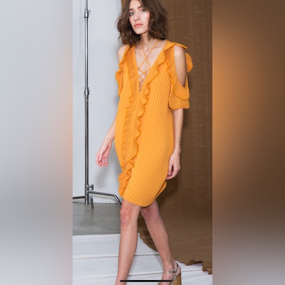 Delfi Collective mini dress in burnt orange - Picture 3 of 9